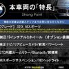 bmw 3-series 2013 CFJ1531225 image 2