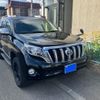 toyota land-cruiser-prado 2017 CFJ1673824 image 3