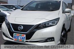 nissan leaf 2019 CFJ1645267