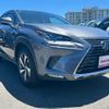 lexus nx 2019 CFJ1508348 image 12
