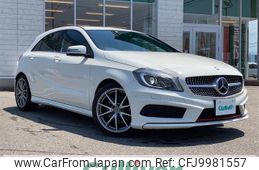 mercedes-benz a-class 2013 -MERCEDES-BENZ--Benz A Class DBA-176044--WDD1760442J137493---MERCEDES-BENZ--Benz A Class DBA-176044--WDD1760442J137493-