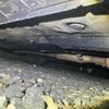 toyota corolla-fielder 2018 CFJ1786497 image 5