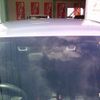 subaru impreza-wagon 2016 CFJ1707278 image 42