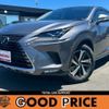 lexus nx 2019 CFJ1508348 image 1