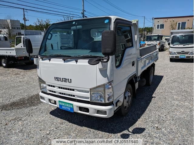 isuzu elf-truck 2010 GOO_NET_EXCHANGE_0302953A30240518W002 image 1