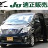 toyota alphard 2011 quick_quick_DBA-ANH20W_ANH20-8182152 image 1