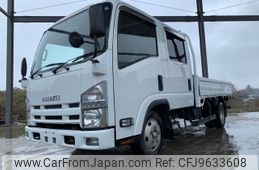 isuzu elf-truck 2010 GOO_NET_EXCHANGE_0401987A30240326W001