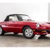 alfa-romeo spider 1990 -ALFA ROMEO--Alfa Romeo Spider -115410---ZAR11541000036574---ALFA ROMEO--Alfa Romeo Spider -115410---ZAR11541000036574- image 17