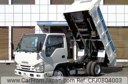 isuzu elf-truck 2019 GOO_NET_EXCHANGE_0700192A30250226W001