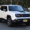 jeep renegade 2019 quick_quick_3BA-BU13_1C4BU0000KPJ99150 image 1