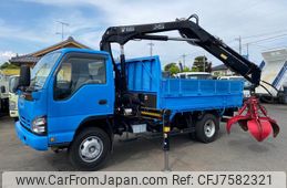 isuzu elf-truck 2006 GOO_NET_EXCHANGE_0400985A30220525W001