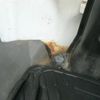 mitsubishi minicab-truck 2014 -MITSUBISHI--Minicab Truck U62T--2112349---MITSUBISHI--Minicab Truck U62T--2112349- image 25
