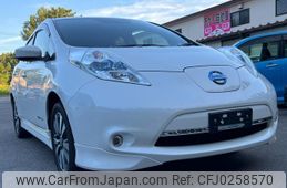 nissan leaf 2017 GOO_JP_700090373030240928002