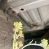 mitsubishi delica-d5 2010 -MITSUBISHI--Delica D5 DBA-CV4W--CV4W-0500645---MITSUBISHI--Delica D5 DBA-CV4W--CV4W-0500645- image 28