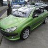 peugeot 206 2003 CFJ1715705 image 20