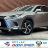 lexus nx 2019 -LEXUS--Lexus NX DAA-AYZ15--AYZ15-1013894---LEXUS--Lexus NX DAA-AYZ15--AYZ15-1013894- image 1