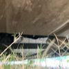 mazda mazda3 2019 CFJ1509179 image 8