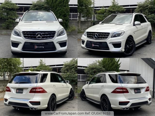 mercedes-benz m-class 2013 quick_quick_RBA-166057_WDC1660572A196144 image 2