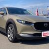 mazda cx-3 2023 CFJ1524446 image 10