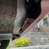 suzuki swift 2016 CFJ1673540 image 23