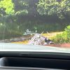 toyota harrier-hybrid 2023 quick_quick_AXUH80_AXUH80-0058224 image 5