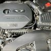 mini mini-others 2017 CFJ1752778 image 18