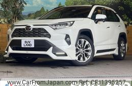 toyota rav4 2019 CFJ1395257