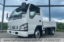 isuzu elf-truck 2006 GOO_NET_EXCHANGE_0401987A30240731W001