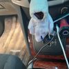 toyota harrier 2006 CFJ1501234 image 25