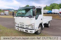 isuzu elf-truck 2010 GOO_NET_EXCHANGE_1100588A30220509W001