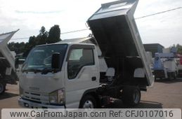 isuzu elf-truck 2008 GOO_NET_EXCHANGE_0403152A30240619W002