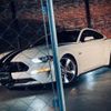 ford mustang 2019 -FORD--Ford Mustang humei--1FA6P8CF4J5152491---FORD--Ford Mustang humei--1FA6P8CF4J5152491- image 19