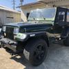jeep wrangler 1996 CFJ9190273 image 11