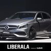 mercedes-benz a-class 2017 -MERCEDES-BENZ--Benz A Class DBA-176042--WDD1760422V165995---MERCEDES-BENZ--Benz A Class DBA-176042--WDD1760422V165995- image 1