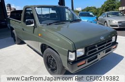 nissan dutsun-truck 1995 GOO_JP_700080342430240917001