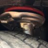 nissan x-trail 2020 quick_quick_HNT32_HNT32-186610 image 20