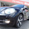 volkswagen the-beetle 2014 quick_quick_16CPL_WVWZZZ16ZEM640664 image 12