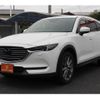 mazda cx-8 2020 CFJ1796053 image 24
