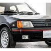 peugeot 205 1988 -PEUGEOT--Peugeot 205 E-741CT--VF3741C6607869453---PEUGEOT--Peugeot 205 E-741CT--VF3741C6607869453- image 19