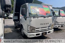 isuzu elf-truck 2007 GOO_NET_EXCHANGE_1100798A30230909W001