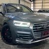 audi sq5 2019 quick_quick_FYCWGA_WAUZZZFY2K2125617 image 2