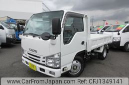 isuzu elf-truck 2019 GOO_NET_EXCHANGE_0540197A30250626W001