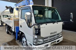 isuzu elf-truck 2009 GOO_NET_EXCHANGE_0700520A30240903W002