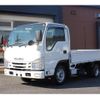 isuzu elf-truck 2019 GOO_NET_EXCHANGE_0401987A30250115W001 image 1