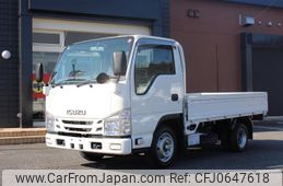 isuzu elf-truck 2019 GOO_NET_EXCHANGE_0401987A30250115W001