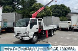 isuzu elf-truck 2017 GOO_NET_EXCHANGE_0541786A30250617W001