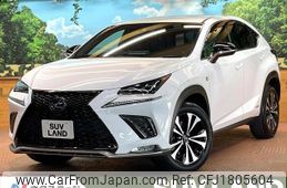 lexus nx 2020 CFJ1805604