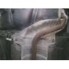 nissan note 2020 -NISSAN--Note E12-644682---NISSAN--Note E12-644682- image 13