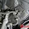 honda s2000 1999 CFJ1803756 image 16
