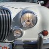 mitsuoka viewt 2000 ed1902e23306c5c1d6384e90689c1b86 image 3